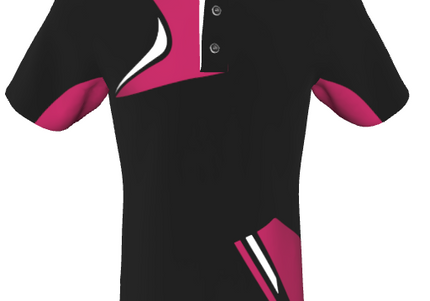 Moto Polo