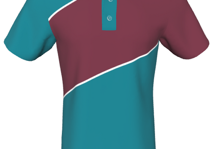 Swipe Polo